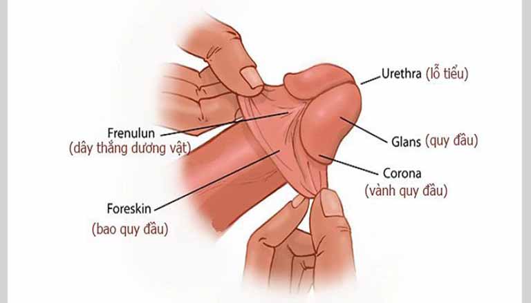 Cách Nhận Biết Đàn Ông Quan Hệ Lần Đầu - 100% Kẽm