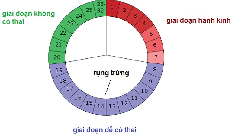 Tại sao quan hệ vào ngày rụng trứng mà vẫn không có thai?