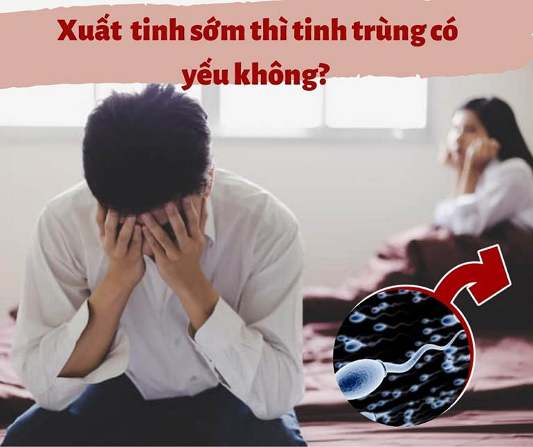 Xuất tinh sớm có phải tinh trùng yếu? Câu trả lời